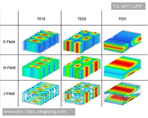 体育运动产品铭牌符号的意义与应用探讨及其对消费者选择的影响分析